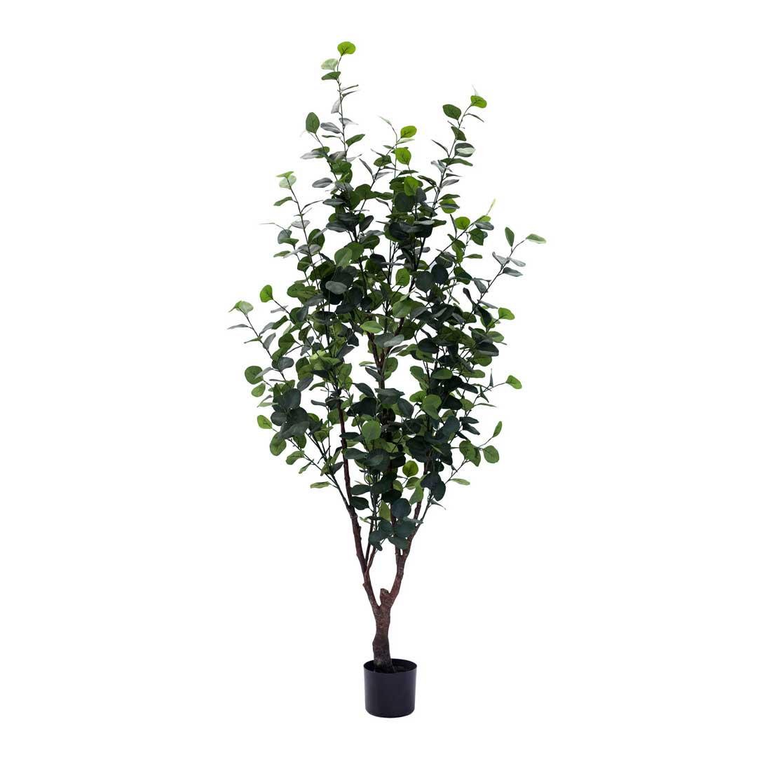 Искусственное растение Engard Eucalyptus 180 см (TW-15)