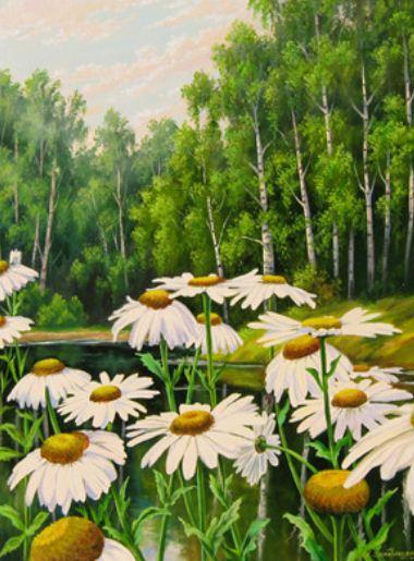 Картина по номерам Josef Otten Цветы Лесные ромашки 40х50 см в термопакете (5496Y_O-mt)