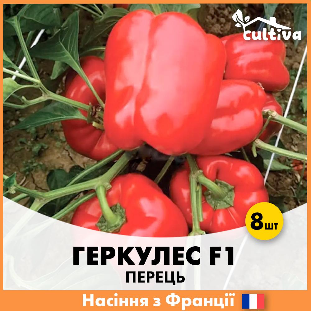 Семена перца Clause Геркулес F1 8 шт. (P1)