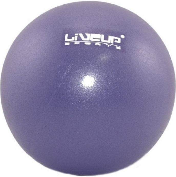 М'яч гімнастичний LiveUp MINI BALL Фіолетовий (LS3225-20p)