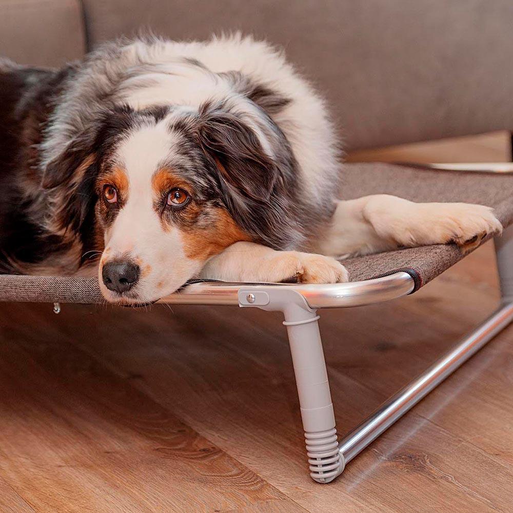 Лежак для собак Ferplast Dream 100 раскладной 105х63x7 см до 35 кг (70512989) - фото 4