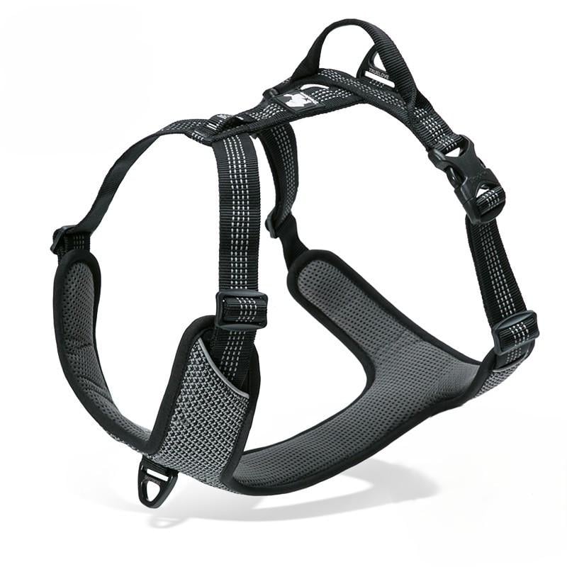 Шлея для собак Truelove TLH6071 светоотражающая с прочной ручкой регулируемая L Черный