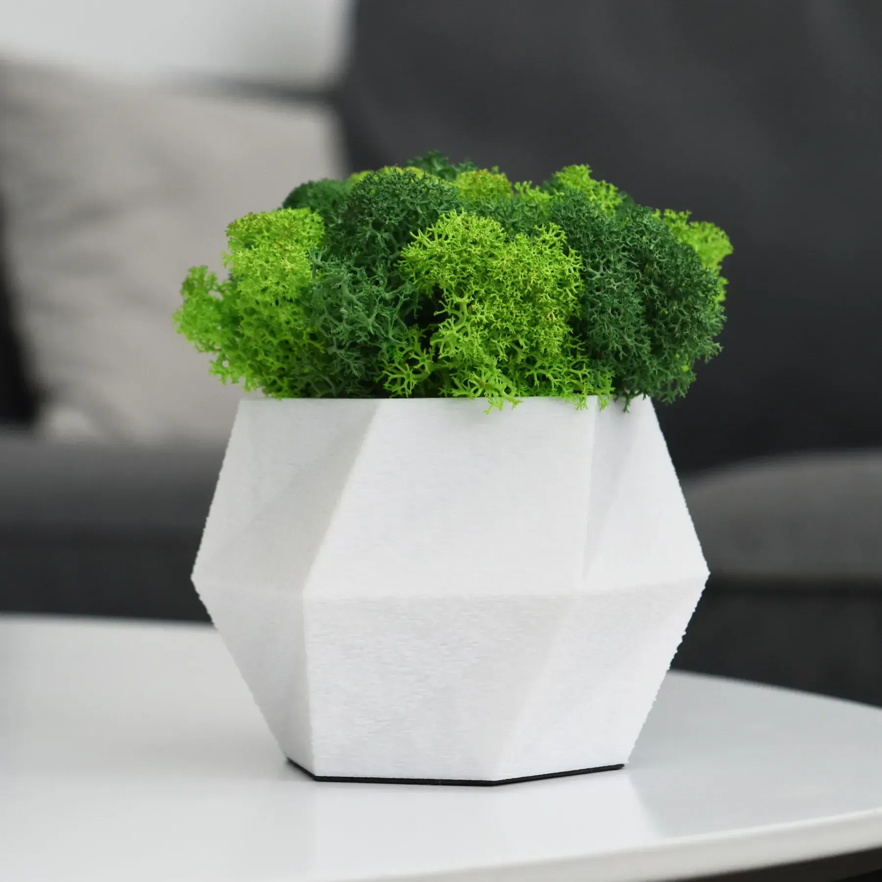 Кашпо Hurricane со стабилизированным мхом Белый/Зеленый/Салатовый (KM-B-1)