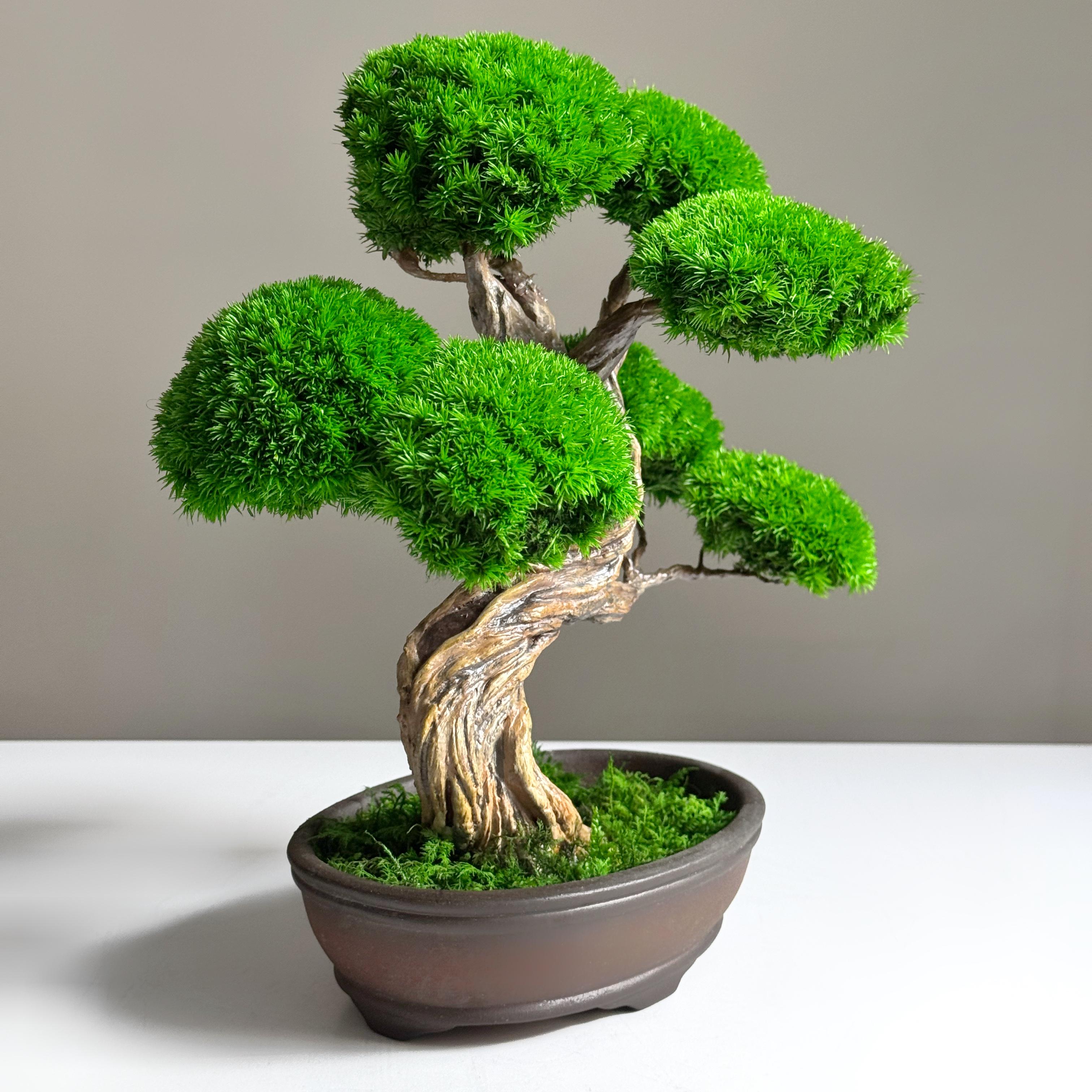 Бонсай зі стабілізованих рослин 26х25 см - фото 2