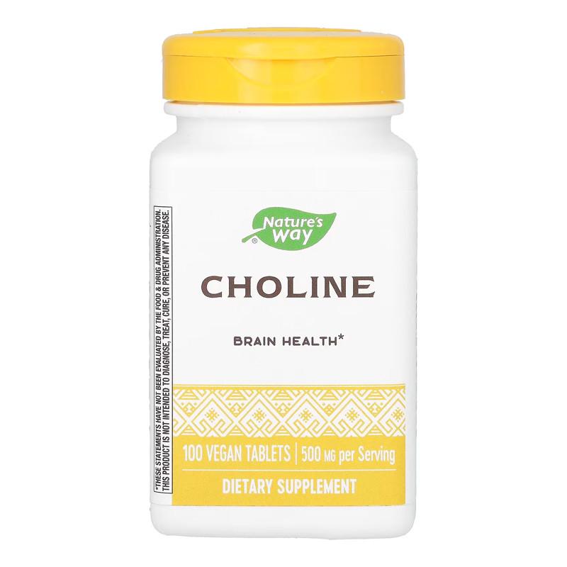 Холин Nature's Way Choline 500 mg 100 капс. (20512-01)