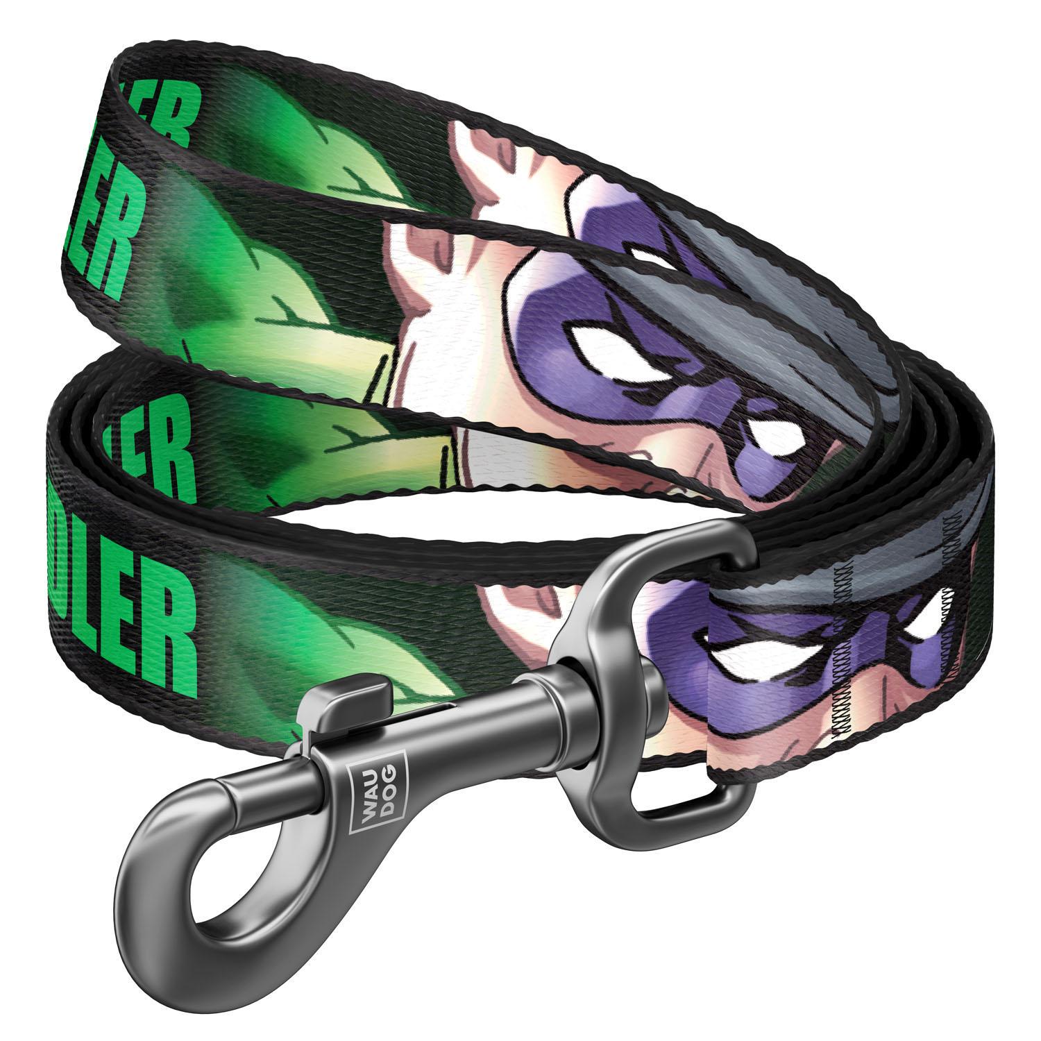 Поводок для собак нейлоновый Waudog Nylon Загадочник S 15 мм 122 см