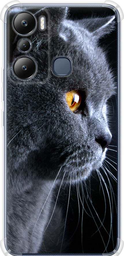 Чехол на Infinix Hot 20i Красивый кот (3038sp-2964-42517) Чехол на Infinix Hot 20i Красивый кот (3038sp-2964-42517)