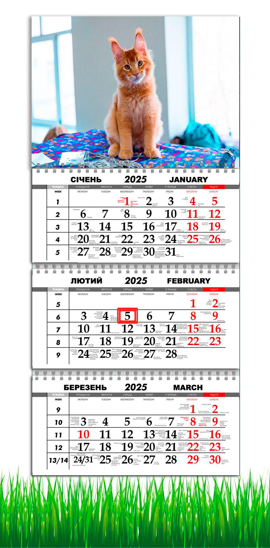 Календарь настенный квартальный на 2025 год на 3 пружины APRIORI Рыжий Кот/Мейн-кун 30х61 см (UA2697)