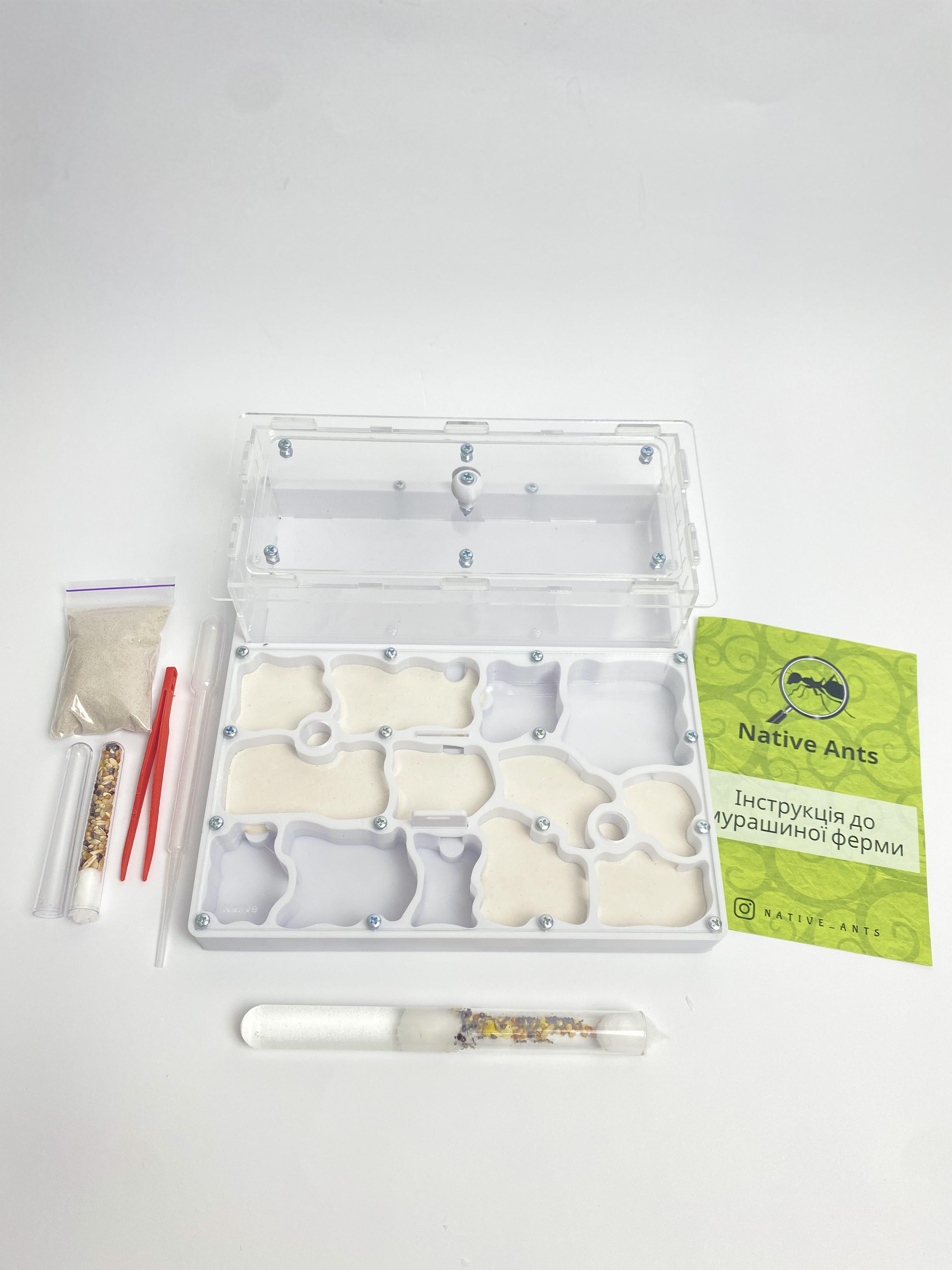 Стартовый набор для новичков Муравьиная ферма "XL" с муравьями Messor muticus/аксессуарами и кормом Белый (2679580184)