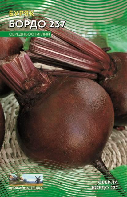 Насіння буряка Бордо 15 г (364) Насіння буряка Бордо 15 г (364)