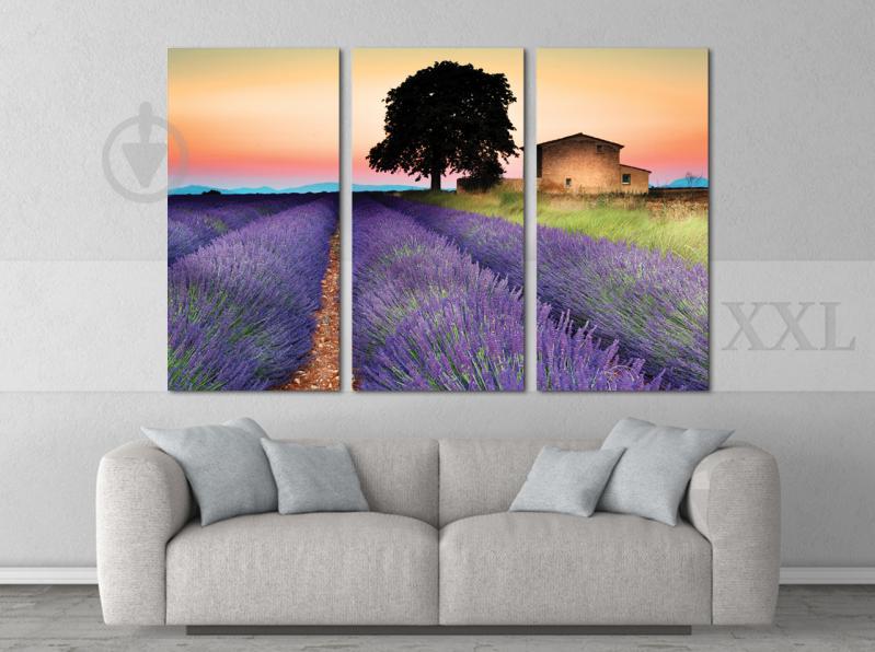Модульна картина Poster-land Прованс Art-50_XXL