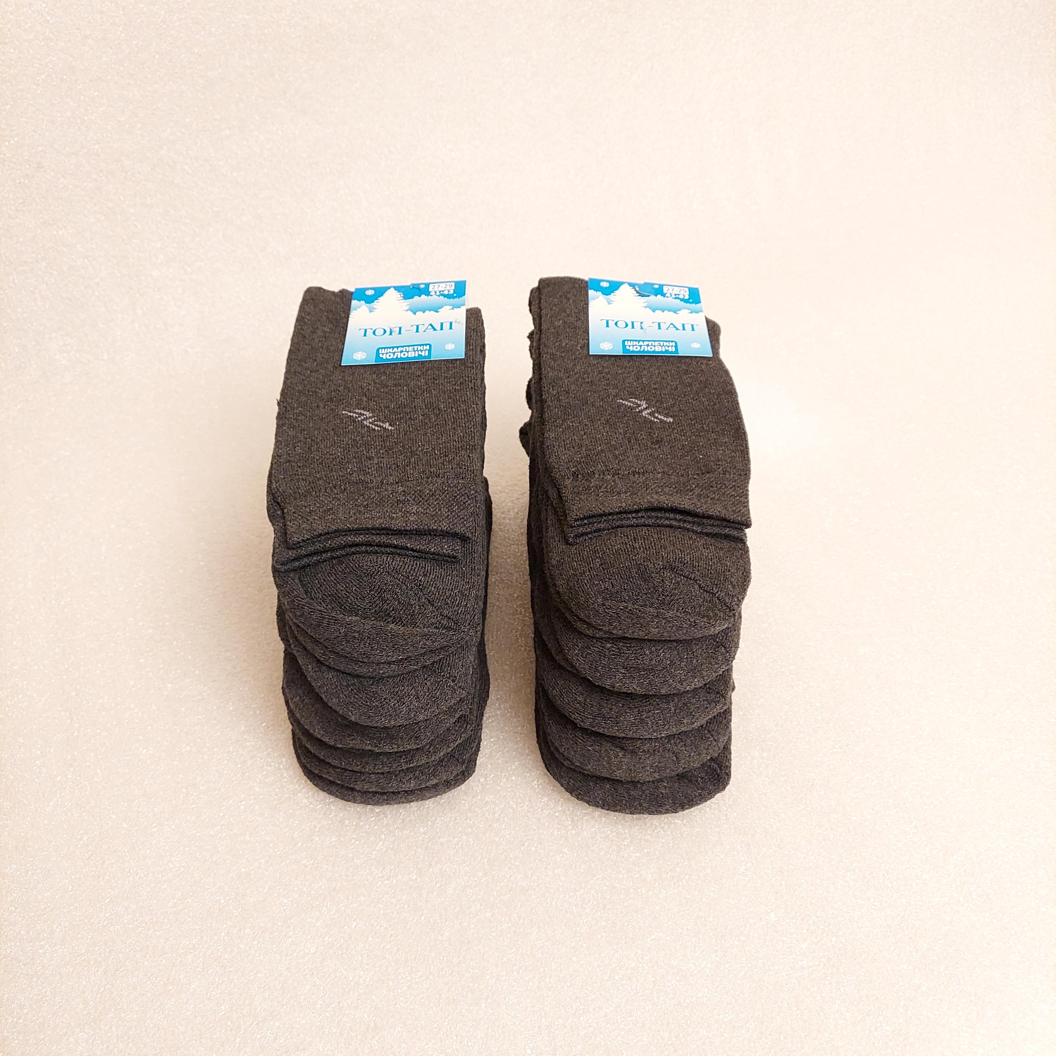Шкарпетки чоловічі зимові махрові Житомир р. 43 10 пар Сірий (0485)