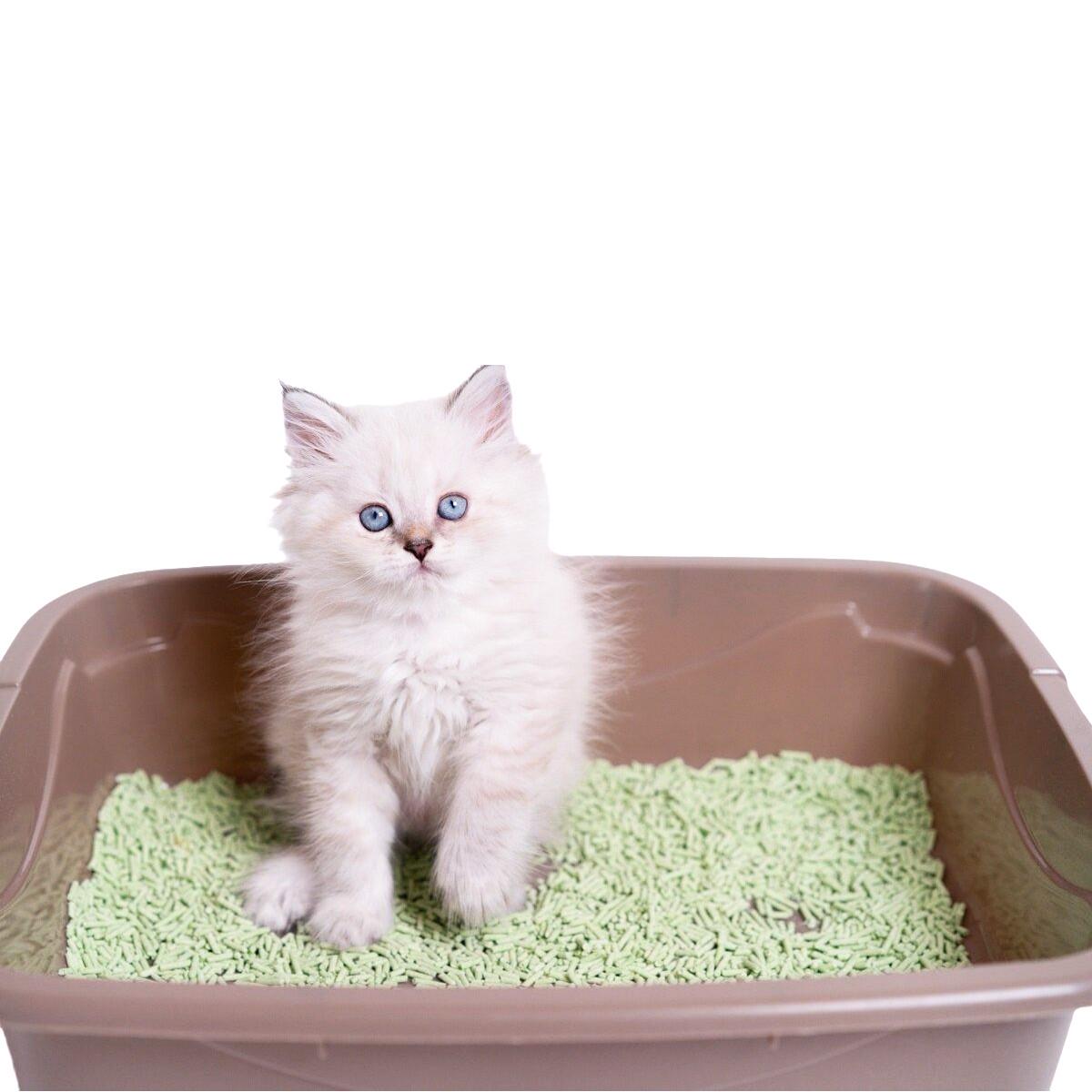 Наповнювач соєвий для котячого туалету Ultrakat Tofu з ароматом винограду 3 мм 6 л 2,5 кг - фото 6 Наповнювач соєвий для котячого туалету Ultrakat Tofu з ароматом винограду 3 мм 6 л 2,5 кг - фото 6