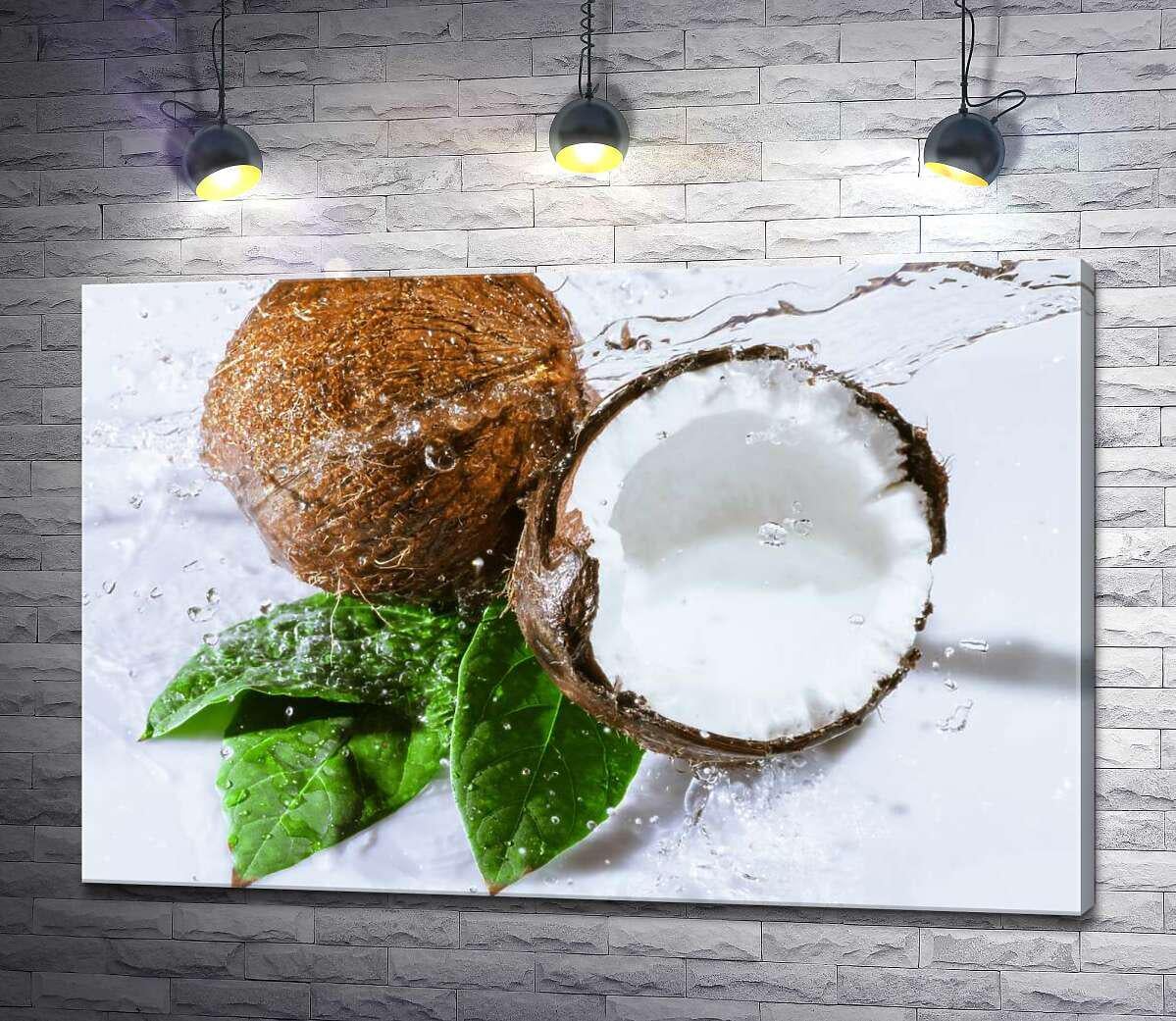 Картина ArtPoster Брызги прозрачной воды падают на кокосовые орехи 130x87 см Модуль №1 (001105) Картина ArtPoster Брызги прозрачной воды падают на кокосовые орехи 130x87 см Модуль №1 (001105)