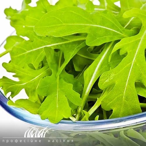 Семена Руккола Пикник (14997)