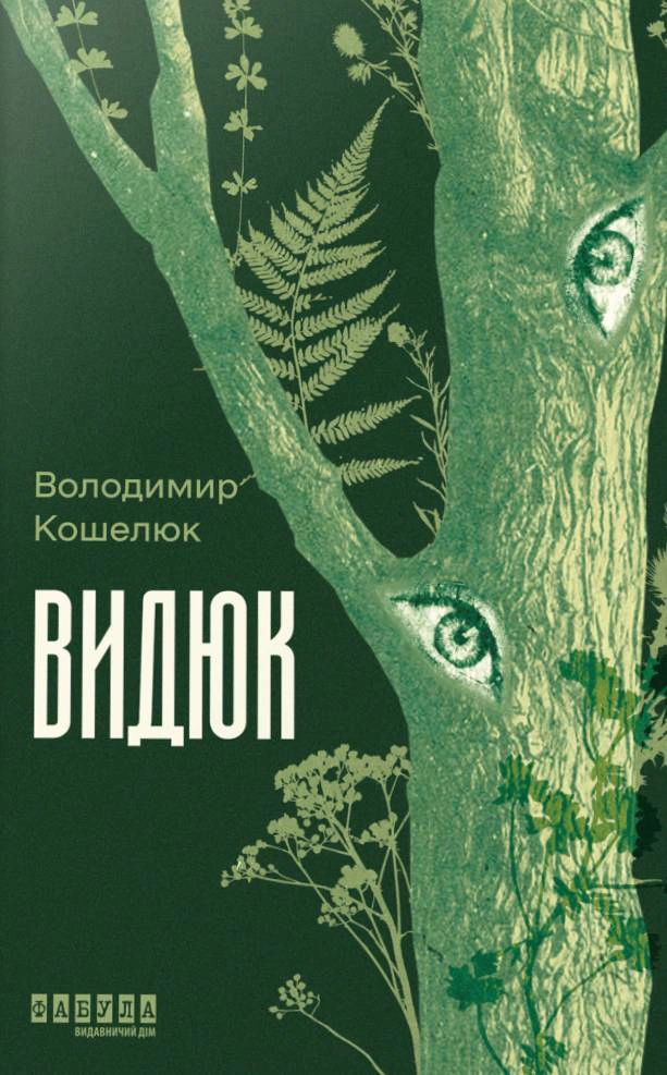 Книга Володимир Кошелюк «Видюк» 9786175224120 Книга Володимир Кошелюк «Видюк» 9786175224120