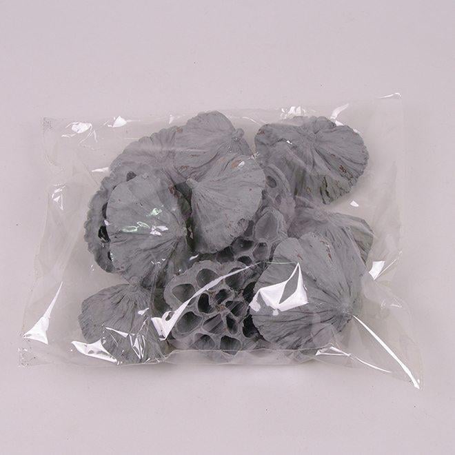 Сухоцвет Flora Lotos Large (69840) Сухоцвет Flora Lotos Large (69840)
