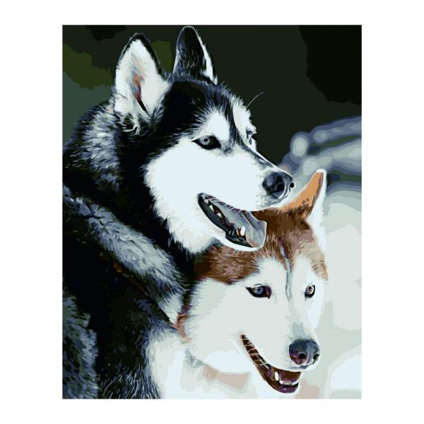 Набор для росписи по номерам Strateg Два хаски 40х50 см (VA-2375-mt)
