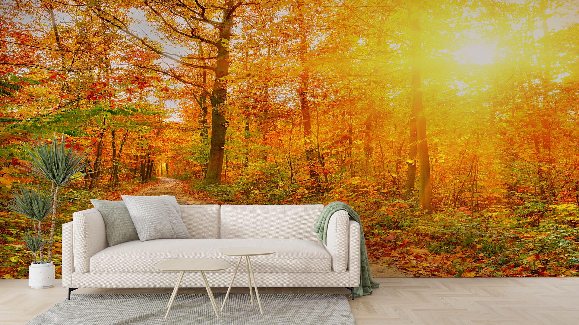 Фотообои флизелиновые Styleo Print-walls Осенний лес 0294 400х250 см (Pw-0294/4)