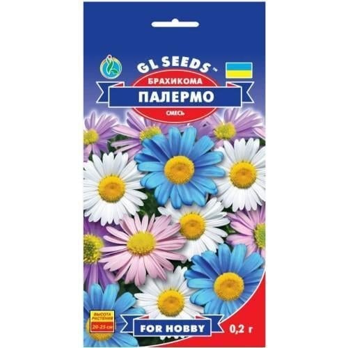 Семена цветов Брахикома Палермо GL Seeds 0,2 г (GL-0886)