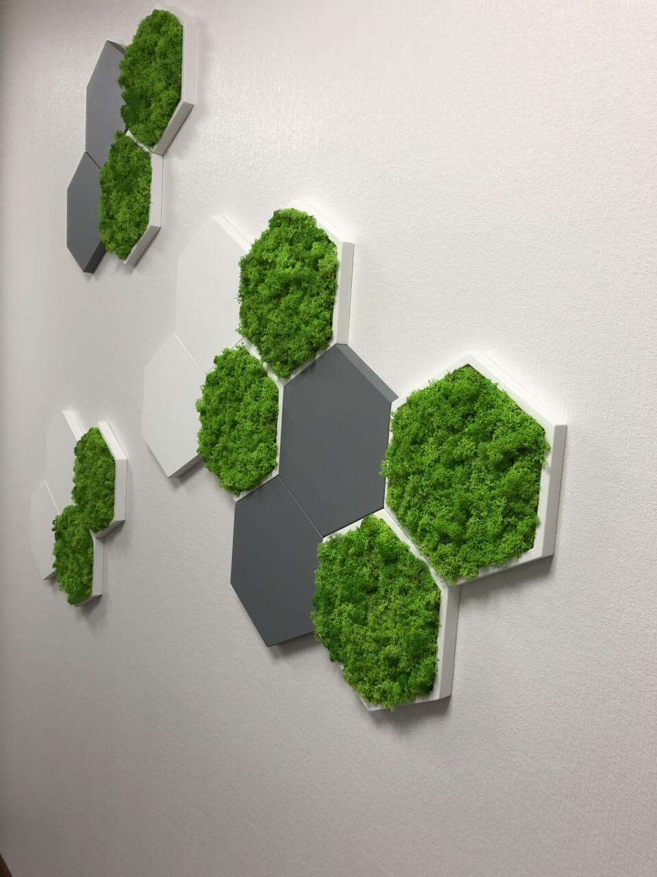 Панель гипсовая 3D Соты со стабилизированным мхом (1063) - фото 6 Панель гипсовая 3D Соты со стабилизированным мхом (1063) - фото 6