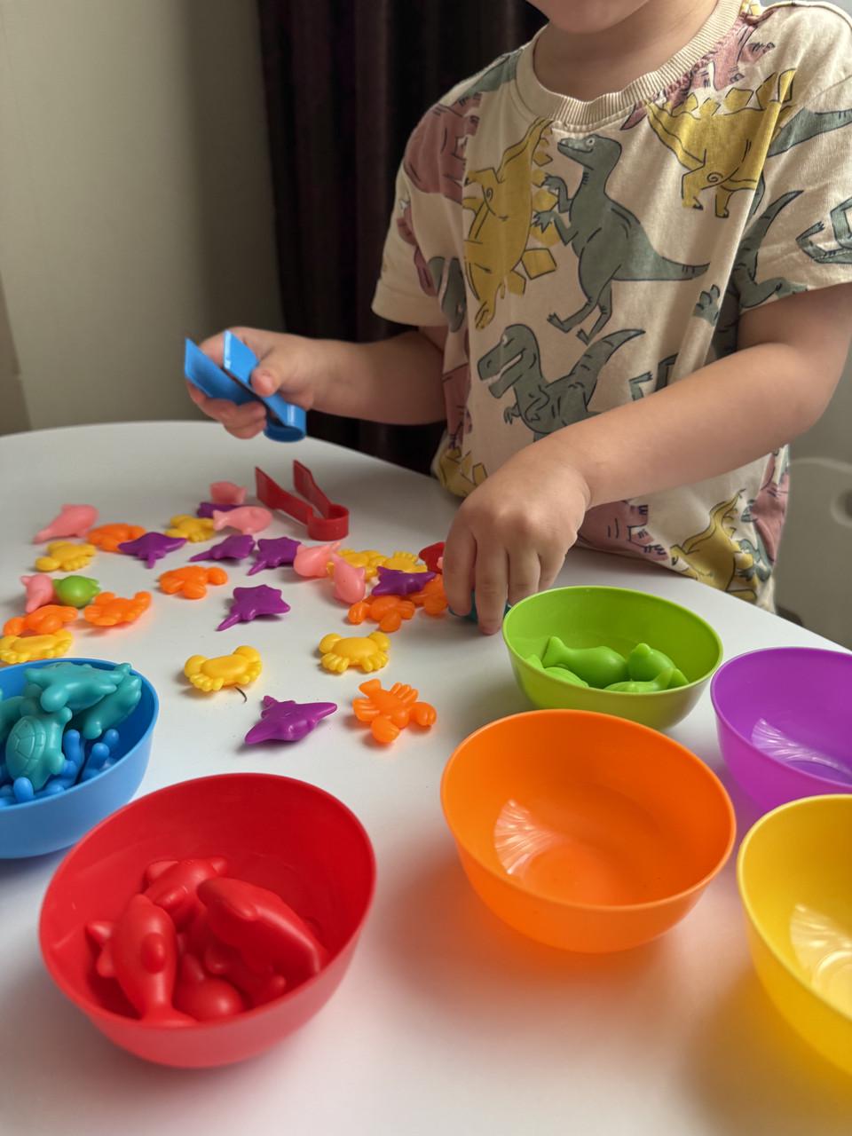 Набір для сортування 56 деталей з мисочками і пінцетом (28) - фото 6 Набір для сортування 56 деталей з мисочками і пінцетом (28) - фото 6