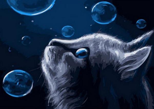 Картина по номерам Josef Otten Животные Кошка 40х50 см в термопакете (9274PH_O-mt)