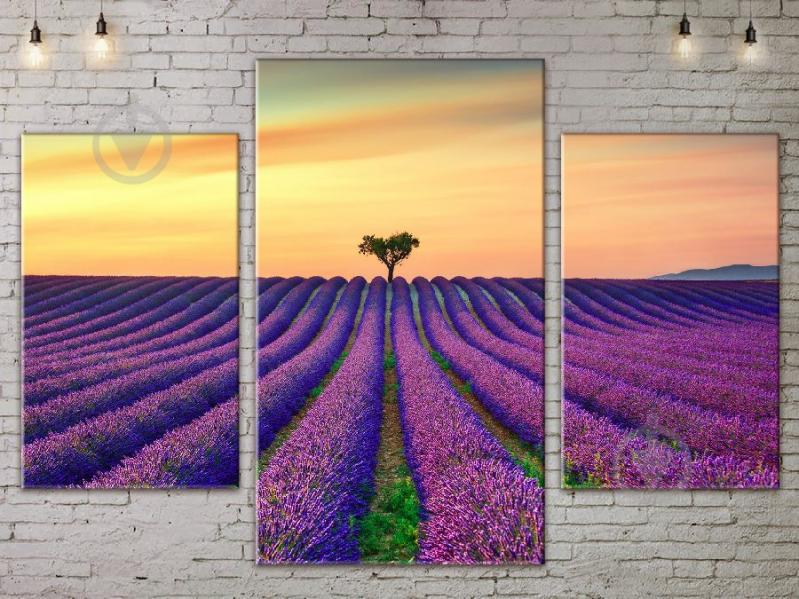 Модульная картина ArtStar ADNA0128 размер 45 х 70 см