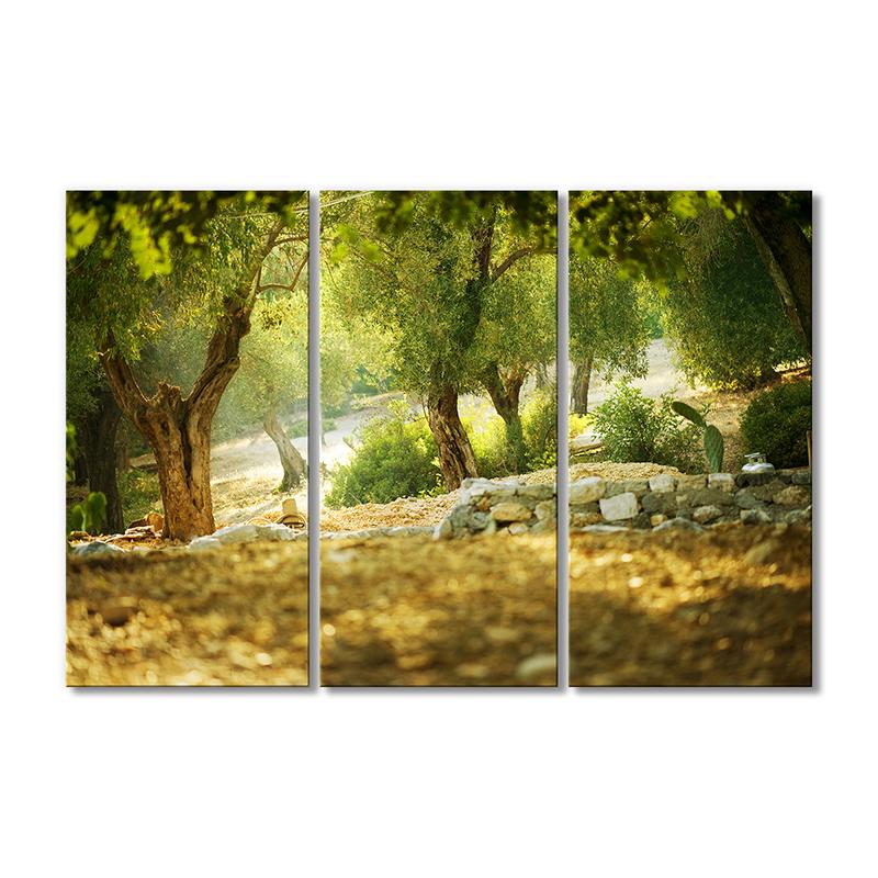 Картина модульная Ветвистые деревья 3 модуля 70x105 см