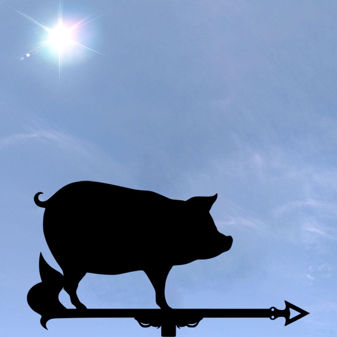 Флюгер на будинок Свиння (27641575) Флюгер на будинок Свиння (27641575)