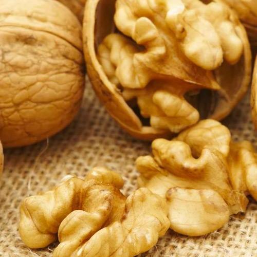 Сажанец Грецкий орех Идеал ранний срок созревания (26232)