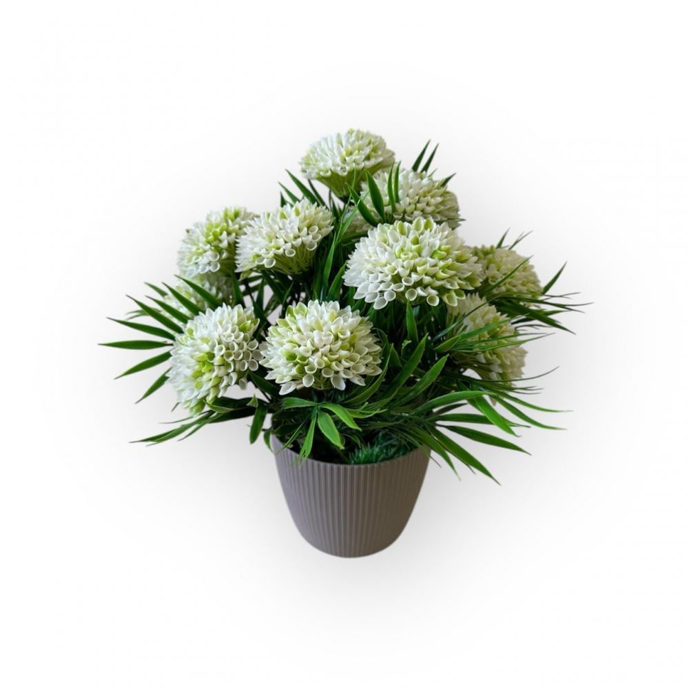 Букет айстра в горщику Пластмакс Білий (R0701)