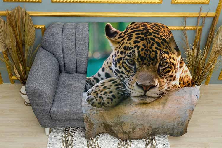 Плед A resting leopard плюш однослойный 135х150 см (113475) Плед A resting leopard плюш однослойный 135х150 см (113475)
