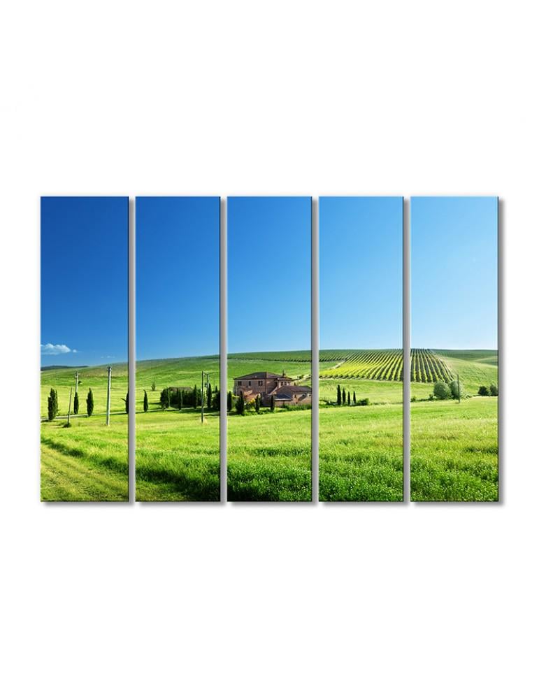 Картина модульная Пейзаж зеленые поля с домом 5 модулей 120x180 см