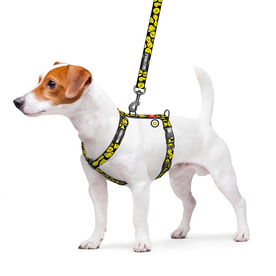 Шлейка для собак з QR-паспортом Waudog Nylon Смайли анатомічна H-подібна з пластиковим фастексом XL 25 мм A 60-100 см/B 68-100 Yellow (346-0181) - фото 3 Шлейка для собак з QR-паспортом Waudog Nylon Смайли анатомічна H-подібна з пластиковим фастексом XL 25 мм A 60-100 см/B 68-100 Yellow (346-0181) - фото 3