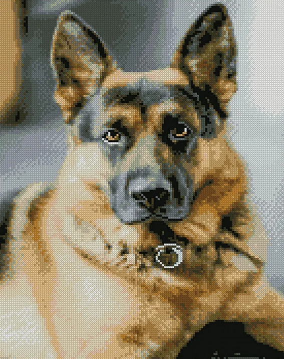 Алмазная мозаика Strateg Лучший телохранитель 40х50 см (FA13072)