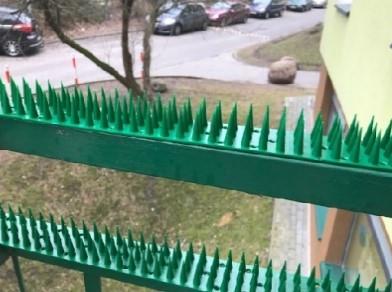 Шипи пластикові від птахів та тварин Jacopic для захисту саду 30х45х500 мм 3 см Зелений - фото 2 Шипи пластикові від птахів та тварин Jacopic для захисту саду 30х45х500 мм 3 см Зелений - фото 2