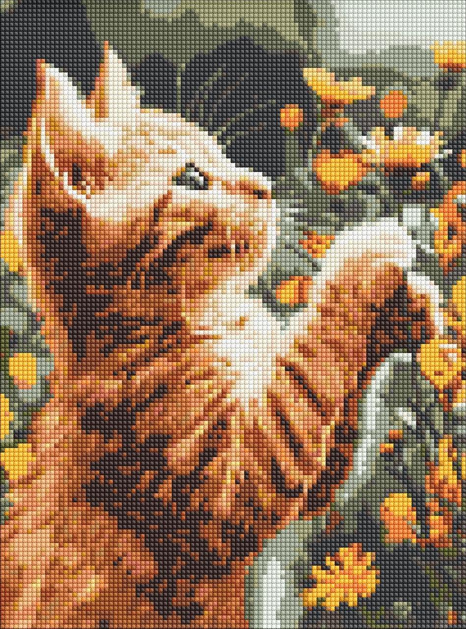 Алмазная мозаика Ideyka AMO8043 Рыжий пушистик холст на подрамнике 30x40 см (2433933738)