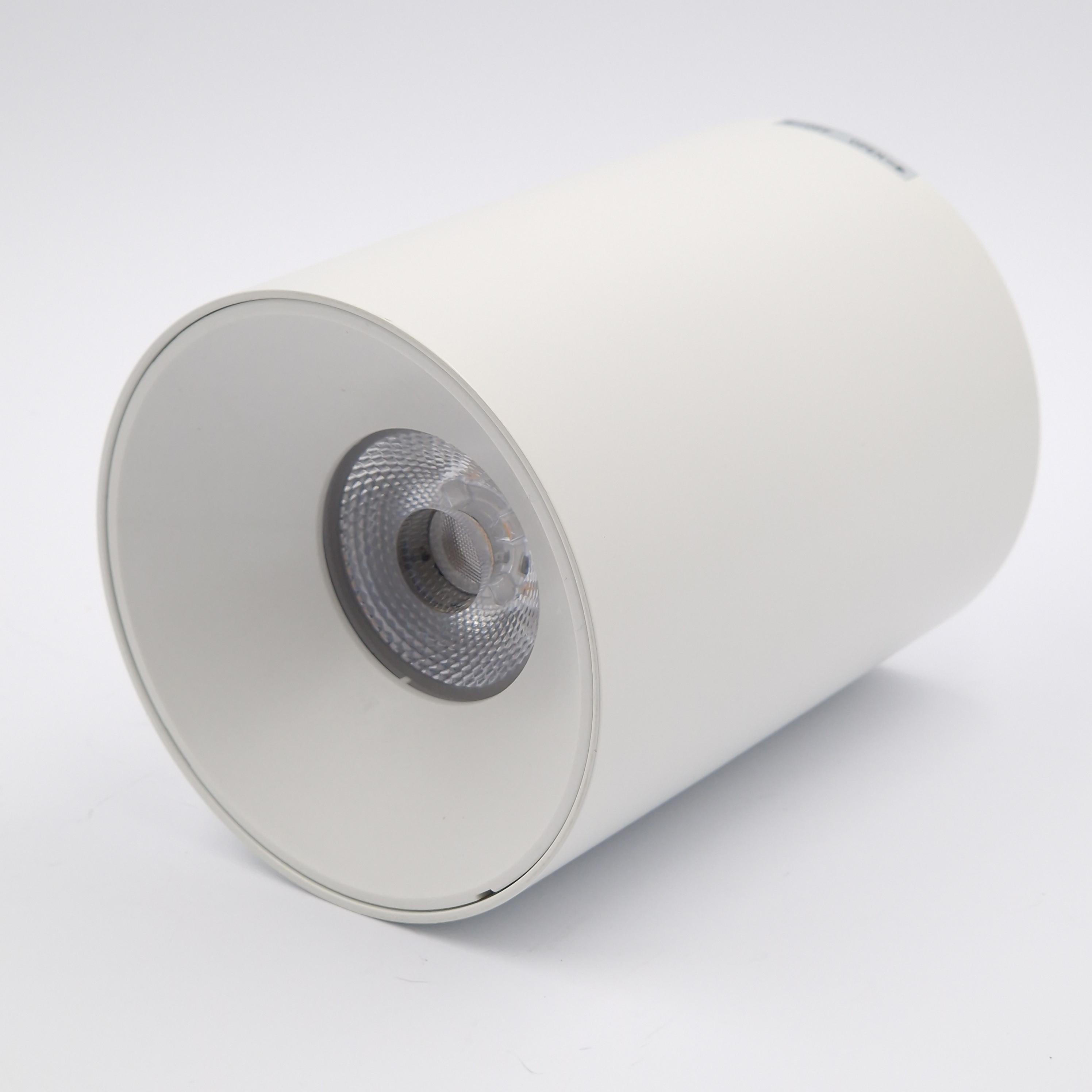 Светильник накладной Light Club 12 Вт 5000 К IP20 Белый (WL-521а-12-5-W) - фото 3 Светильник накладной Light Club 12 Вт 5000 К IP20 Белый (WL-521а-12-5-W) - фото 3