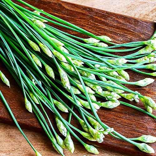 Насіння Цибуля Florium Гейша (18737)