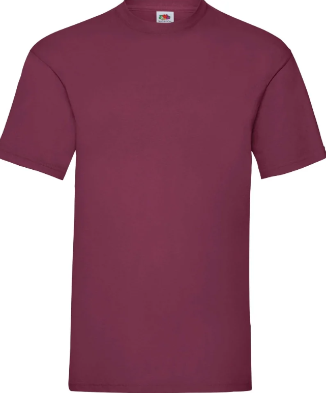 Футболка чоловіча Fruit of the Loom Valueweight M Бордовий (061036041M)