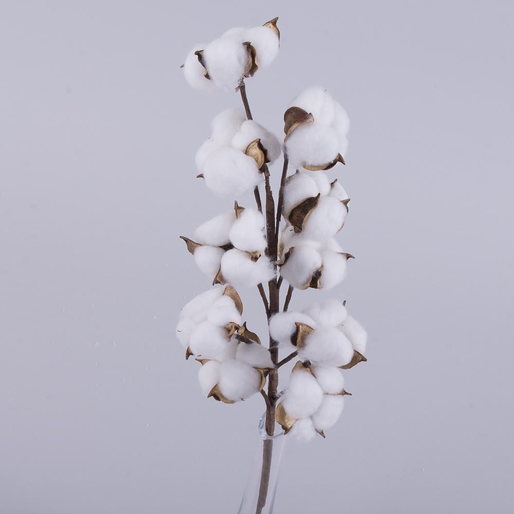 Гілка з бавовною великана 10 квіток 3271