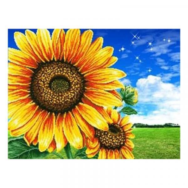 Алмазна мозаїка TK Group Соняшники в полі 40х30 см з рамкою в коробці (GB75100-mt)