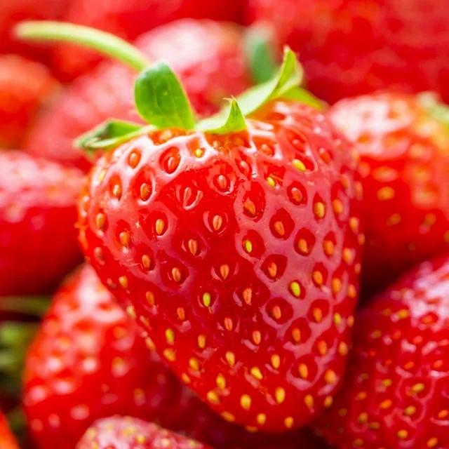 Саженец клубники Lord средне-поздняя (1418006891)