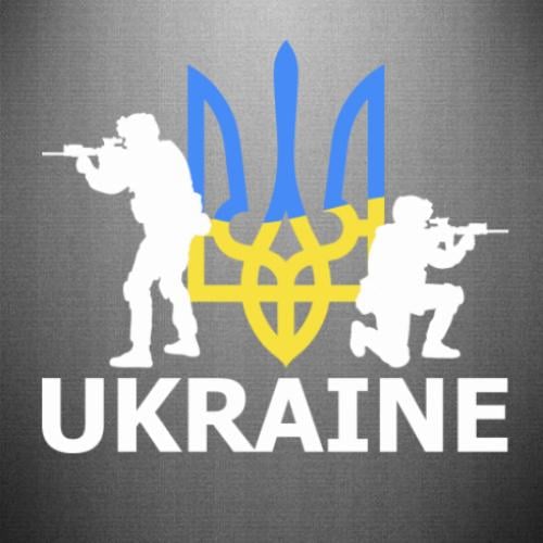 Наклейка Солдаты Украины 25x22,1 см Желто-голубой/Белый (21562600)
