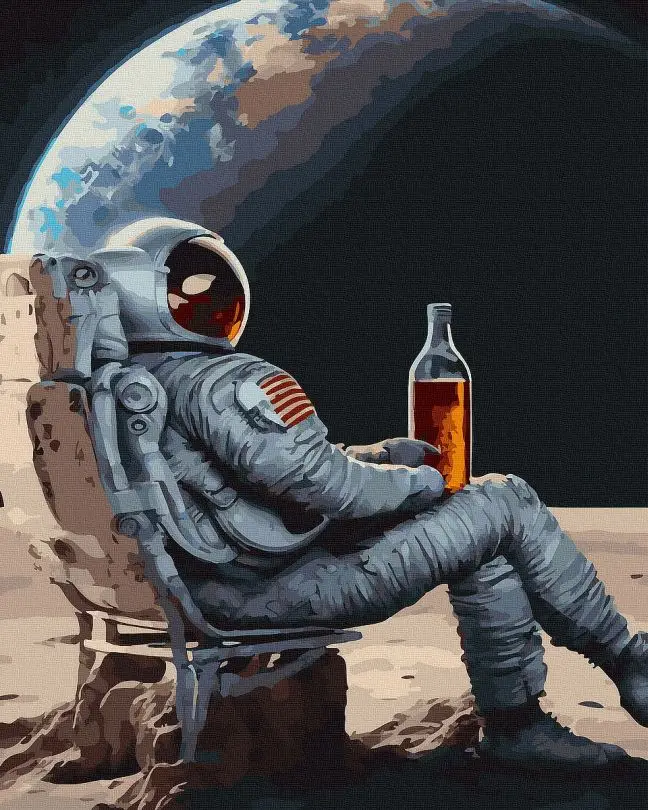 Картина по номерам Отдохнешь на луне 40x50 см без коробки (ANG329)