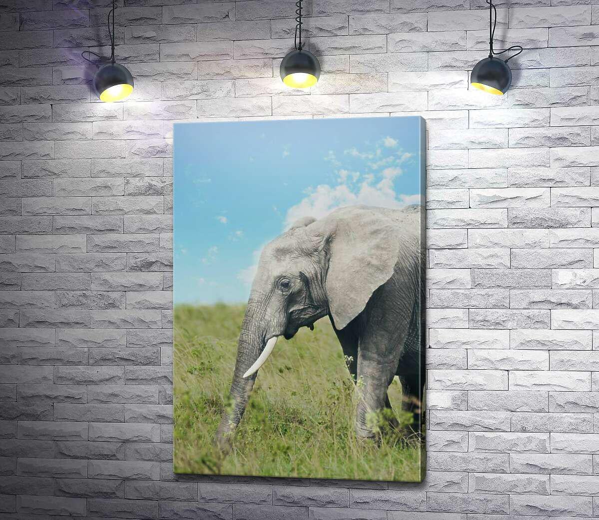 Картина ArtPoster Слон на прогулке в зеленом поле 67x100 см Модуль №1 (004256)
