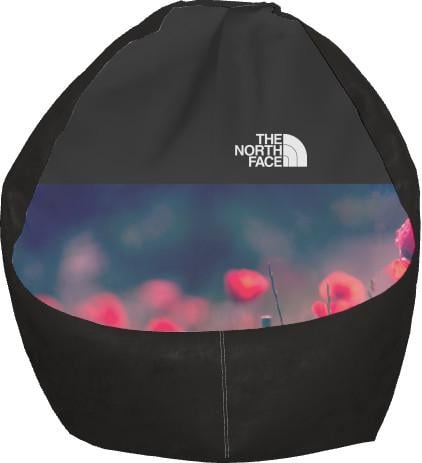 Крісло-груша The North Face 4 L (13277204)