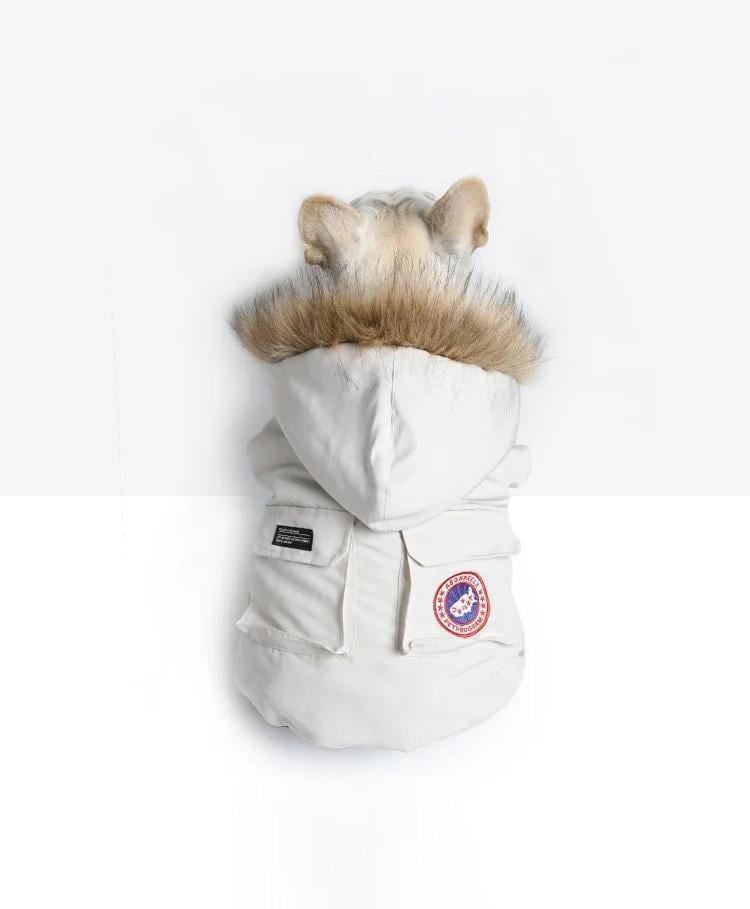 Куртка зимова водонепроникна для собак Chill Winter з капюшоном XL (2030649894) - фото 5 Куртка зимова водонепроникна для собак Chill Winter з капюшоном XL (2030649894) - фото 5