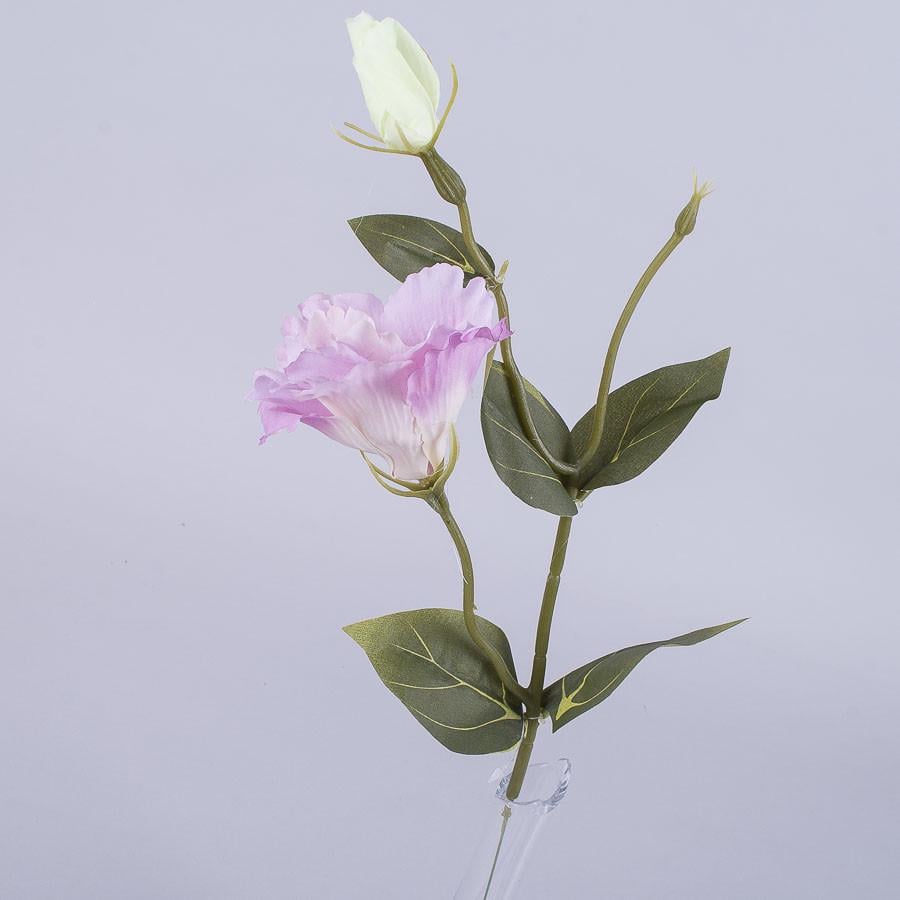 Еустома на тоненьком стебле фиолетовая